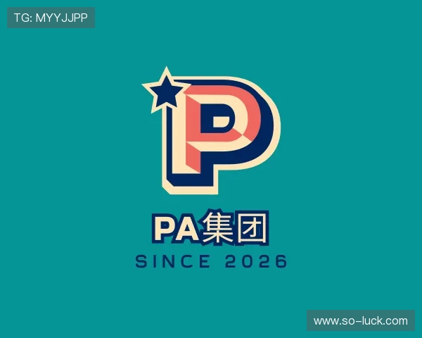 解读PA集团